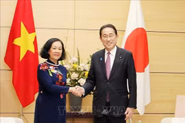 越共中央书记处常务书记张氏梅与日本高层领导人会晤