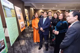 范明政总理与在澳越南知识分子和专家协会举行座谈