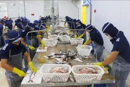 春节假期后胡志明市工人返岗率达97%以上