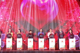 越南代国家主席武氏映春出席“2024年国家人道主义月”启动仪式