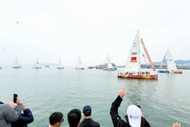 克利伯环球帆船赛11支船队离开下龙湾开始新赛程