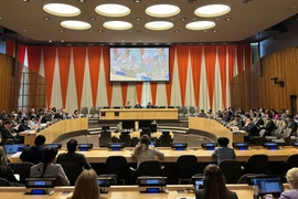 越南当选联合国妇女署2025-2027任期执行局成员国