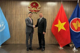 越南与古巴在联合国重要进程中密切合作