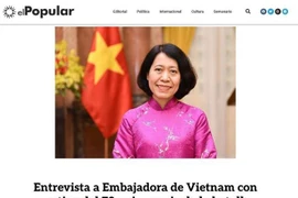 奠边府胜利70周年：浓浓的爱国主义情怀的胜利