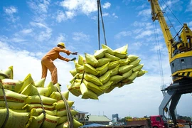 越南大米塑造在国际市场上的品牌形象