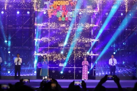 第二十届胡志明市旅游节开幕