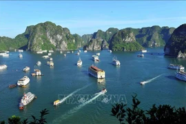 下龙湾跻身2024年全球25个最佳旅游目的地榜单