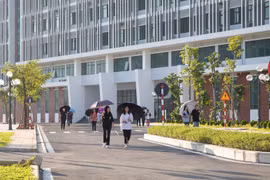 河内国家大学在2024年世界大学网络排名上升 