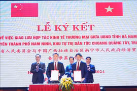 进一步加强越南河南省与中国广西南宁市之间的合作