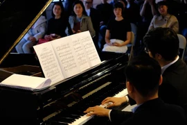 大叻古典音乐节：使古典音乐走出剧院