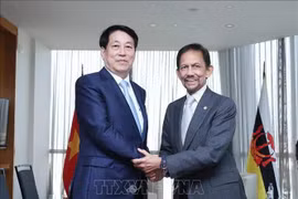 越南国家主席梁强会见文莱苏丹哈桑纳尔·博尔基亚。图自越通社