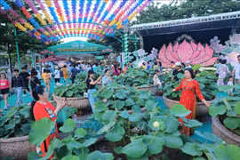 2024年河内荷花节开幕。图自越通社