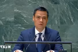 越南常驻联合国代表团团长邓黄江大使。图自越通社