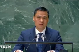 越南常驻联合国代表团团长邓黄江大使。图自越通社