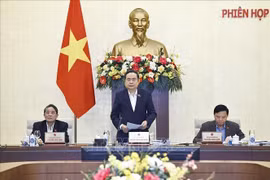 国会主席陈青敏主持开幕式并致开幕词。图自越通社