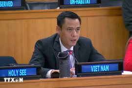 越南常驻联合国代表团团长邓黄江大使。图自越通社