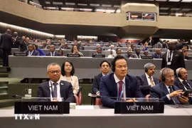 越南国会代表团团长阮孟进（左）和越南常驻联合国、世界贸易组织（WTO）和在瑞士日内瓦其他国际组织代表团团长梅潘勇大使。图自越通社