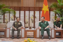 越南人民军副总参谋长黄战胜上将会见柬埔寨王家军总司令部军事战略研究中心主任金万纳（Kim Vanna）大将。图自越通社