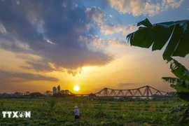 红河河心洲的一角。图自越通社