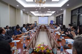 “新背景下促进越南与巴西关系的解决方案”国际座谈会场景。图自越通社