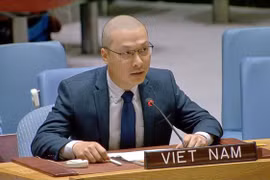 越南常驻联合国代表团临时代办阮黄原公使。图自越通社
