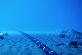 附图。图自 wired.com