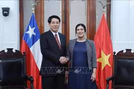 越南国家主席梁强会见智利众议院议长兼智越友好议员小组主席卡罗尔·卡里奥拉。图自越通社