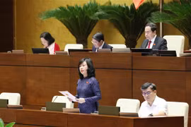 越南卫生部部长陶红兰女士发表讲话。图自越通社