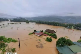 河江省多地发生洪灾。图自越通社