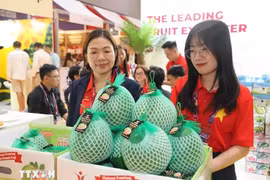 越南绿皮柚子亮相中国香港亚洲国际果蔬展。图自越通社