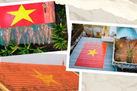 附图。图自互联网