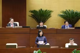 越南卫生部部长陶红兰女士在会上发表讲话。图自越通社