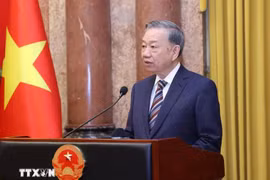 越共中央总书记、国家主席苏林。图自越通社