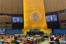 南常驻联合国代表团团长邓黄江大使在会上发言。图自越通社