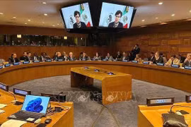 联合国毒品控制和犯罪预防办公室在联合国纽约总部举行高级别活动。图自越通社