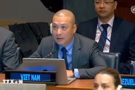 越南常驻联合国代表团副团长阮黄原。图自越通社