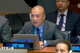 越南常驻联合国代表团副团长阮黄原。图自越通社
