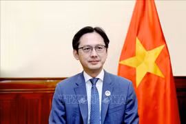 越南外交部副部长、东盟高官会（SOM ASEAN）越南代表团团长杜雄越。图自越通社