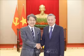 苏林总书记会见日本国际协力银行执行董事。图自越通社