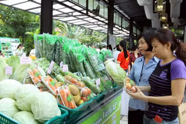 绿色农产品推介周将于本月6日至12日举行