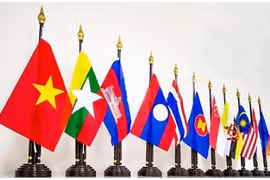 附图（图片来源：Mangphapluat）