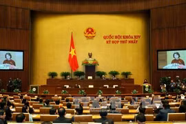 会议场景（图片来源：越通社）