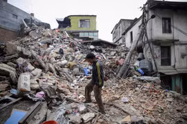 附图（图片来源：nytimes.com）