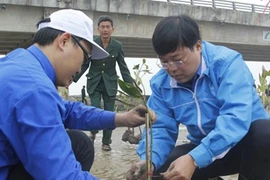 胡志明市共青团发起2016年植树节