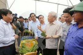 越共中央总书记阮富仲赴河静省调研（图片来源：越通社）