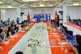 “越中青年参与文化传承及旅游发展论坛”在富寿省举行（图片来源：越通社）