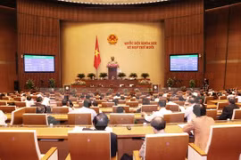 附图：越南第十三届国会某场会议场景（图片来源：越通社）