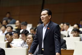 国会代表发表意见（图片来源：越通社）