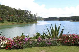 大叻市的泉林湖—仙石山生态旅游区