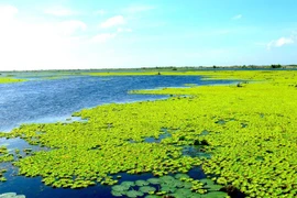 坚江省幽冥上国家园林（图片来源：WWF-Việt Nam）